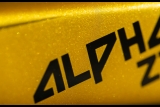 ALPHA FURY SL 29"