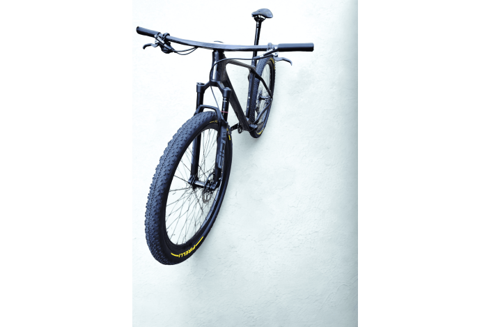 ALPHA FURY SL 29"
